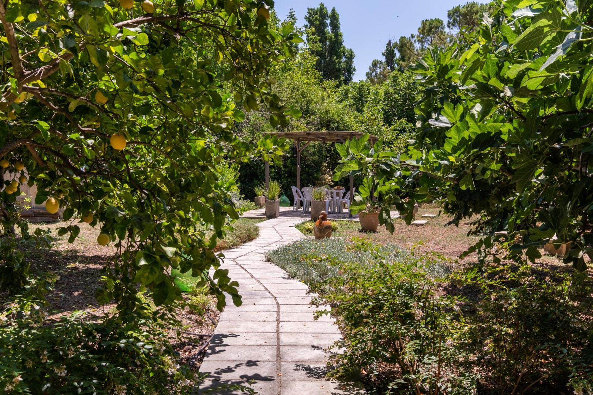 La Dimora Elia' Villa Muro Leccese Exteriör bild